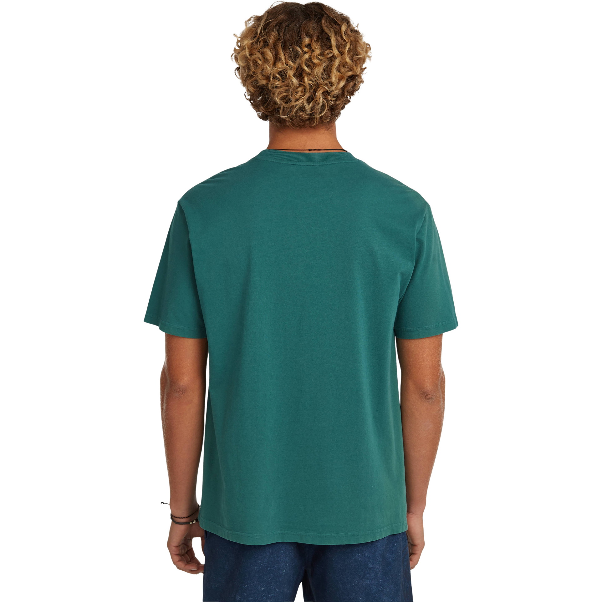 2026 O'Neill Mens O'Riginals Front Stripe T-Shirt 2850354 - Botanical Heat